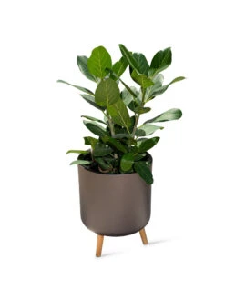 Ava Self-Watering Round Planter -The Garden Works Shop 8612692 0003