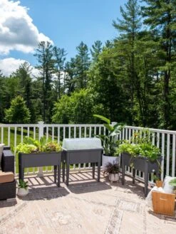 Self-Watering Standing Salad Planter With Cloche -The Garden Works Shop 8612702 2002 tif