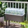 Self-Watering Standing Salad Planter With Cloche -The Garden Works Shop 8612702 2032 tif