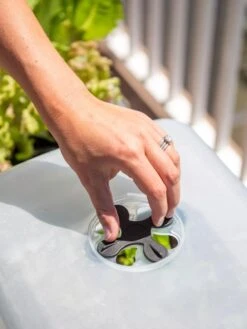 Self-Watering Standing Salad Planter With Cloche -The Garden Works Shop 8612702 2034 tif