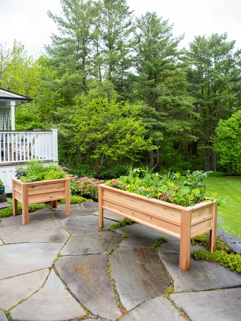 Craftsbury Elevated Raised Beds 3 Craftsbury Elevated Raised Beds