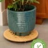 Bamboo Plant Caddy Round, 15.75" -The Garden Works Shop 8612716 14
