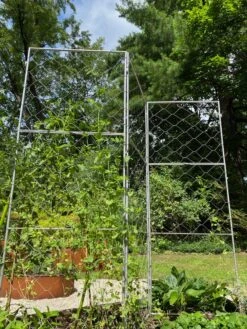 Chicken Wire Pea Trellis 14 Chicken Wire Pea Trellis -The Garden Works Shop 8612718 7310