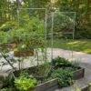 Chicken Wire Pea Trellis 1 Chicken Wire Pea Trellis -The Garden Works Shop 8612718 7313 chicken wire pea trellis