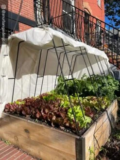 Cotton All Purpose Garden Cover 11 Cotton All Purpose Garden Cover -The Garden Works Shop 8612816 01CUST 1