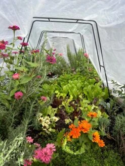 All-Purpose Garden Fabric -The Garden Works Shop 8612816 01TEST 1