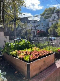 Zenith Garden Hoops, Set Of 4 -The Garden Works Shop 8612816 02CUST