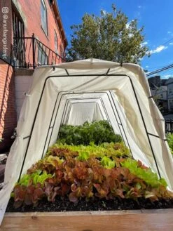 Cotton All Purpose Garden Cover 12 Cotton All Purpose Garden Cover -The Garden Works Shop 8612816 03CUST