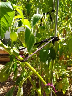 Farmyarn® Multipurpose Garden Tie, 2 Pack -The Garden Works Shop 8612948 02v