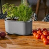Tolita Recycled Self-Watering Flower Box -The Garden Works Shop 8612964 03v tolita recycled self watering flower box