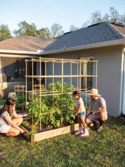 Tomato Six Pack Support -The Garden Works Shop 8613143 0313