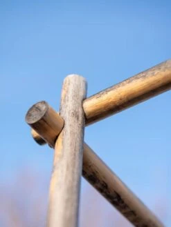 Bamboo Tomato Cages, Set Of 3 -The Garden Works Shop 8613143 0385