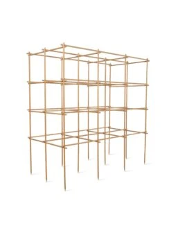 Tomato Six Pack Support -The Garden Works Shop 8613143 5402 6 pack tomato support