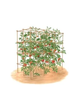 Tomato Six Pack Support -The Garden Works Shop 8613143 art flat