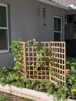 Bamboo Zig-Zag Trellis 24" X 36" -The Garden Works Shop 8613151 6434 bamboo zigzag vegetable trellis