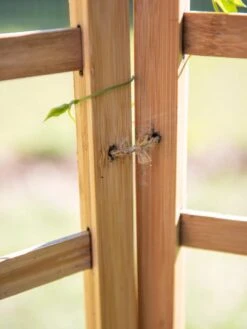 Bamboo Zig-Zag Trellis 24" X 36" -The Garden Works Shop 8613151 6483