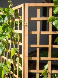 Bamboo Zig-Zag Trellis 24" X 36" -The Garden Works Shop 8613151 6491