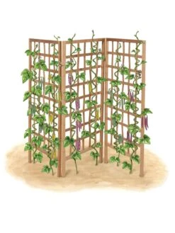 Bamboo Zig-Zag Trellis 24" X 36" -The Garden Works Shop 8613151 art flat