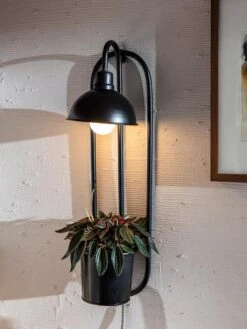 Kira Grow Light Hanging Planter