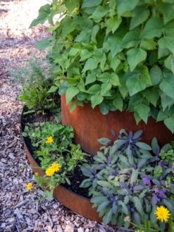 Birdies™ Corten Steel Tiered Round Raised Bed Kit, Tall -The Garden Works Shop 8613245 0195