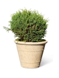 Self-Watering LavaStone® Anson Pot -The Garden Works Shop 8613255 0150