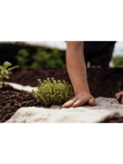 Hortiwool ®, Starter Garden Pad -The Garden Works Shop 8613263 09v