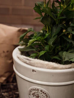 Hortiwool ®, 5 Pad Pack -The Garden Works Shop 8613263 17v