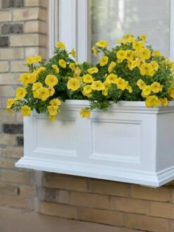 Fairfield Self-Watering Window Box, 2’ 12 Fairfield Self-Watering Window Box, 2’ -The Garden Works Shop 8613268 11V tif
