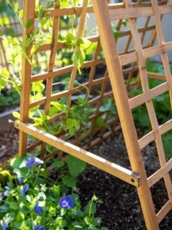 Bambo A Frame Plant Support, 30" X 42.5" -The Garden Works Shop 8613310 6556