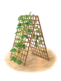 Bambo A Frame Plant Support, 30" X 42.5" -The Garden Works Shop 8613310 art flat