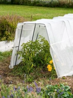 Zenith Garden Hoops, Set Of 4 -The Garden Works Shop 8613313 0133