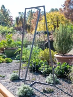 Pilar Free Standing Trellis -The Garden Works Shop 8613316 5164