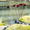 Red Poppy Sways, Set Of 5 2 Red Poppy Sways, Set Of 5 -The Garden Works Shop 8613343 2 red poppy sways set of 5