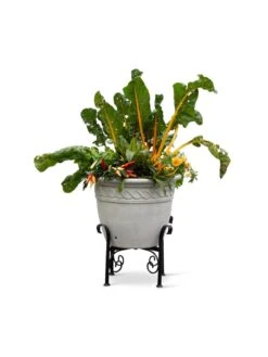 Covington Adjustable Plant Stands -The Garden Works Shop 8613347 0119
