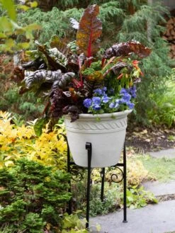 Covington Adjustable Plant Stands -The Garden Works Shop 8613348 0114