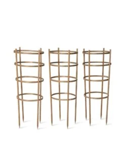 Bamboo Tomato Cages, Set Of 3 -The Garden Works Shop 8613426 4679 bamboo tomato cages 3