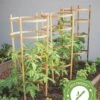 Bamboo Tomato Cages, Set Of 3 -The Garden Works Shop 8613426 7