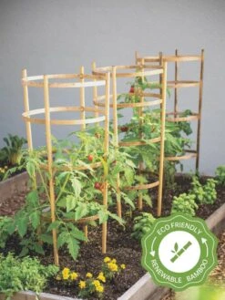 Front Page 54 Bamboo Tomato Cages, Set Of 3