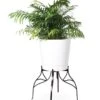 Aubrey Adjustable Plant Stand -The Garden Works Shop 8613454 5716 aubrey adjustable plant stand