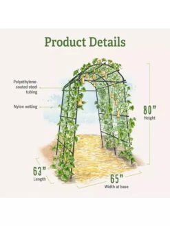 Titan Squash Tunnel -The Garden Works Shop B07932DMCR plantsupport product details