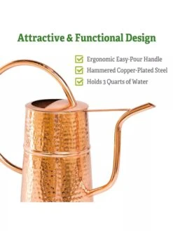 Copper Indoor Watering Can -The Garden Works Shop Copper Watering Can 1
