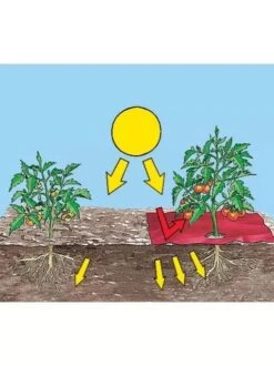 Red Tomato Mulch 5 Red Tomato Mulch -The Garden Works Shop GS30005 05