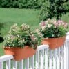 2' X 4' Railing Planter, 25" -The Garden Works Shop GS34336 01 24 inch 2x6 railing planters