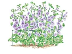 Curved Linking Stakes -The Garden Works Shop GS35240 01S tif