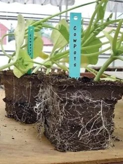 2-3/4" Square Cowpots 6-Packs, Set Of 4 -The Garden Works Shop GS37034 05