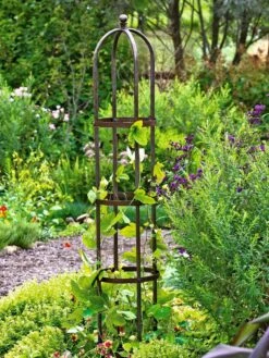 Jardin Bird Cage Support, 26" -The Garden Works Shop GS39529 01 tif
