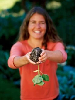 Deep Root Seedstarting System, Black 7 Deep Root Seedstarting System, Black -The Garden Works Shop GSCOVSPR06D2 01