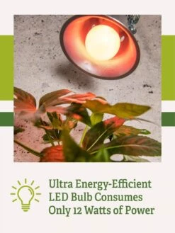 Miracle LED® Absolute Daylight™ Max Flowering Grow Light Bulb 11 Miracle LED® Absolute Daylight™ Max Flowering Grow Light Bulb -The Garden Works Shop Miracle Daylight Bulb 2