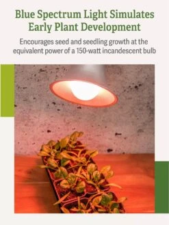 Miracle LED® Absolute Daylight™ Max Flowering Grow Light Bulb 13 Miracle LED® Absolute Daylight™ Max Flowering Grow Light Bulb -The Garden Works Shop Miracle Daylight Bulb 4