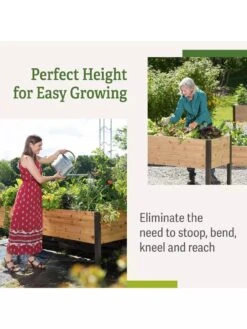 Self-Watering Elevated Planter Box, 2' X 8' -The Garden Works Shop b00eow8fhu raisedbed benefits